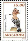 Hoopoe