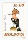 Hoopoe