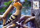 № 60 MC4 - Birds (II) 1993