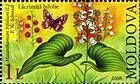 № 616 (1.00 Lei) May Lily (Maianthemum Bifolium)