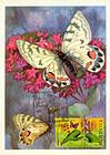№ 616 MC1 - Bufferflies and Flora