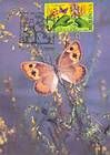 № 616 MC10 - Bufferflies and Flora