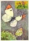 № 616 MC13 - Bufferflies and Flora