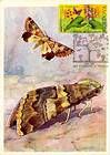 № 616 MC14 - Bufferflies and Flora