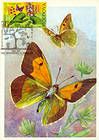 № 616 MC16 - Bufferflies and Flora