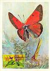 № 616 MC17 - Bufferflies and Flora