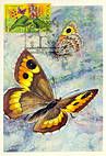 № 616 MC18 - Bufferflies and Flora