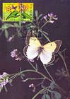 № 616 MC19 - Bufferflies and Flora