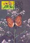 № 616 MC2 - Bufferflies and Flora