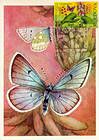 № 616 MC3 - Bufferflies and Flora