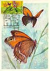 № 616 MC4 - Bufferflies and Flora