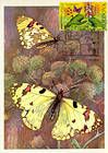 № 616 MC5 - Bufferflies and Flora