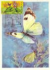 № 616 MC6 - Bufferflies and Flora