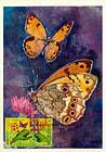 № 616 MC7 - Bufferflies and Flora