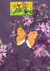 № 616 MC8 - Bufferflies and Flora