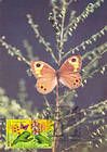№ 616 MC9 - Bufferflies and Flora