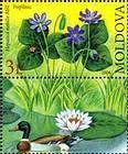 № 617ZfV - Endangered Plant Species in Moldova 2008