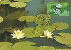 № 618 MC3 - White Waterlily