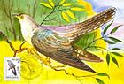 № 61 MC - Birds (II) 1993