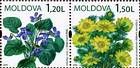 № 655-656Zd - Дикие цветы Молдова 2009