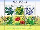 № Block 47 (655-658) - Дикие цветы Молдова 2009