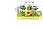 № Block 47 (655-658) FDC - Wild Flowers of Moldova 2009