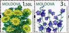 № 656-657Zd - Дикие цветы Молдова 2009