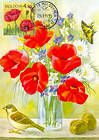 Poppy
