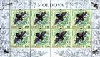 № 660 Kb - Carpenter Bee