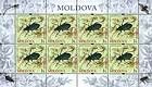 № 661 Kb - Carabus Beetle