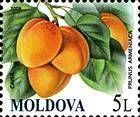 № 672 (5.00 Lei) Apricots