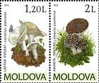 № 694-695Zd - Mushrooms (IV) 2010