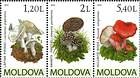 № 694-696Zd - Mushrooms (IV) 2010