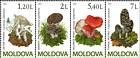 № 694-697Zd - Mushrooms (IV) 2010