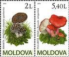 № 695-696Zd - Mushrooms (IV) 2010