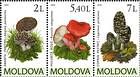 № 695-697Zd - Mushrooms (IV) 2010