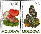 № 696-697Zd - Mushrooms (IV) 2010