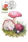 № 696 MC2 - Mushrooms (IV) 2010