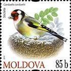 № 698 (0.85 Lei) European Goldfinch (Carduelis Carduelis)