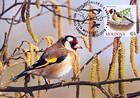 № 698 MC4 - Birds (III) 2010