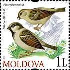 № 699 (1.00 Lei) House Sparrow (Passer Domesticus)