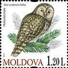 № 700 (1.20 Lei) Ural Owl (Strix Uralensis Pallas)