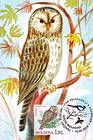 № 700 MC11 - Ural Owl (Strix Uralensis Pallas)