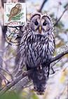 № 700 MC13 - Ural Owl (Strix Uralensis Pallas)