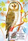 Ural Owl (Strix Uralensis Pallas)