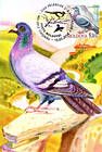 № 702 MC7 - Birds (III) 2010