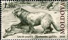 Cave Lion