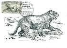 Cave Lion