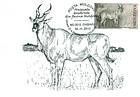 African Antelope (Pontoceros Ambiguus)