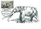 Mastodon (Anancus)